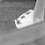 ZP1_2801 ZP1_2801