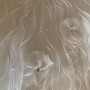 IMG_3841 IMG_3841