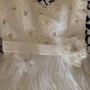 IMG_3842 IMG_3842