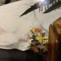 IMG_1714 IMG_1714