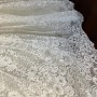 IMG_8625 IMG_8625