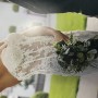 IMG_9746