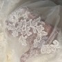 IMG_5284 IMG_5284