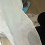 IMG_3842 IMG_3842