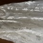 IMG_9356 IMG_9356