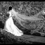 IMG_1722 IMG_1722