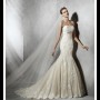 IMG_6658 IMG_6658
