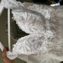 IMG_2786 IMG_2786