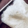IMG_9546 IMG_9546
