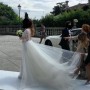 IMG_2895 IMG_2895