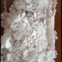 IMG_5783 IMG_5783