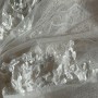 IMG_0494 IMG_0494