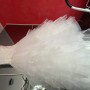 IMG_6169 IMG_6169