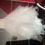 IMG_6170 IMG_6170