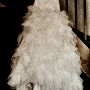 IMG_4197 IMG_4197