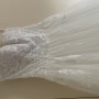 IMG_5598 IMG_5598