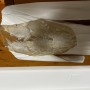 IMG_9268 IMG_9268