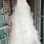 IMG_8373 IMG_8373