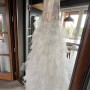 IMG_8381 IMG_8381