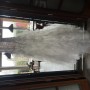 IMG_8384 IMG_8384