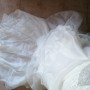 IMG_20260330_083407 IMG_20260330_083407