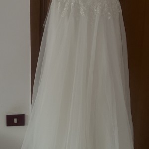 IMG_1373 IMG_1373