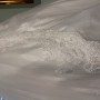 IMG_1552