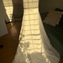 IMG_6535 IMG_6535