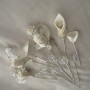 IMG_1575 IMG_1575