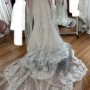 IMG_2365 IMG_2365