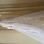 IMG_3617 IMG_3617