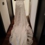 IMG20260825094951 IMG20260825094951