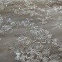 IMG_2628 IMG_2628