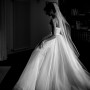 IMG_4631 IMG_4631