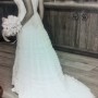 IMG_2949 IMG_2949