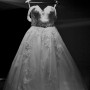 IMG_9284 IMG_9284