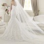 weddalia parte posterior weddalia parte posterior