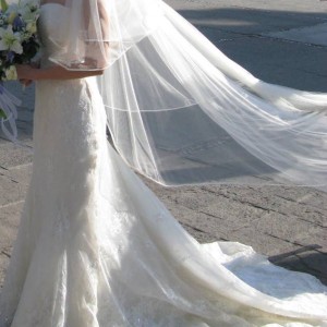 IMG_5282 IMG_5282