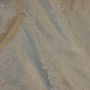 IMG_1662 IMG_1662
