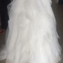 IMG_5469 IMG_5469