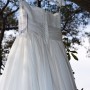 IMG_1548 IMG_1548