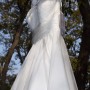 IMG_1552 IMG_1552