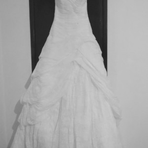 IMG_4458 IMG_4458