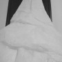IMG_4467 IMG_4467