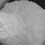 IMG_4520 IMG_4520