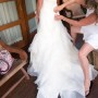IMG_6060 IMG_6060