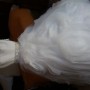 20161129_131346 20161129_131346