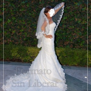 IMG_5616 IMG_5616