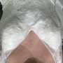 IMG_2684 IMG_2684