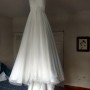 IMG_3176 IMG_3176